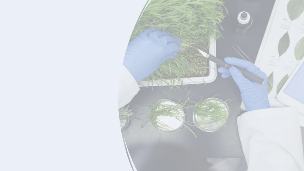 Read more about the article FEED Engineering Inc. Completes Phase I of Innovative Solutions Canada Challenge to Build a Compostable Nitrile Rubber